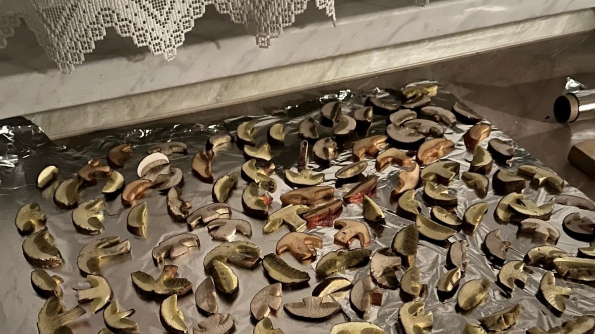 Nebezpečné chyby při skladování hub. Češi jsou na to experti, přitom by stačilo použít selský rozum