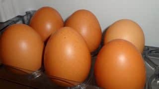 vejce lednice ulozeni