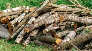 Dřevo bude hořet několikanásobně déle: Češi objevili revoluční způsob, jak ušetřit na vytápění