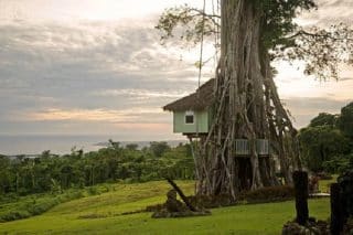 Kdekdo by v nich chtěl bydlet: Unikátní bungalovy ve větvích stromů okouzlí na první pohled