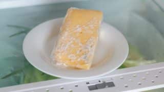 plesnivy syr lednice