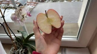 Čištění oken pomocí rozpůleného jablka: Hospodyňky tvrdí, že ovoce funguje mnohem lépe než chemické prostředky