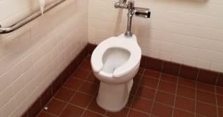 Některá záchodová prkénka jsou nekompletní, mají tvar do písmene „U“: Důvody neobvyklého designu mnohé zarazí, jiné překvapí