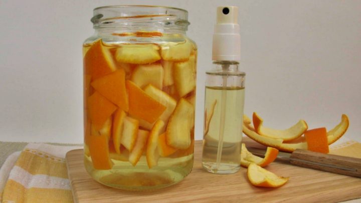 hnojivo citrusova kura