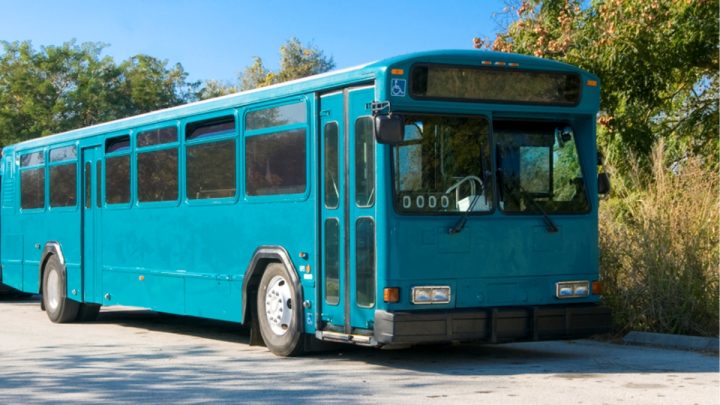 stary autobus zeleny