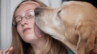 Proč psi olizují obličej či ruku: Ne vždy to znamená projev lásky, páníček by tomu měl věnovat pozornost