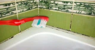 Plíseň v koupelně nebude mít šanci: Se zubním kartáčkem to jde samo. Zabránit se dá i jejímu vzniku