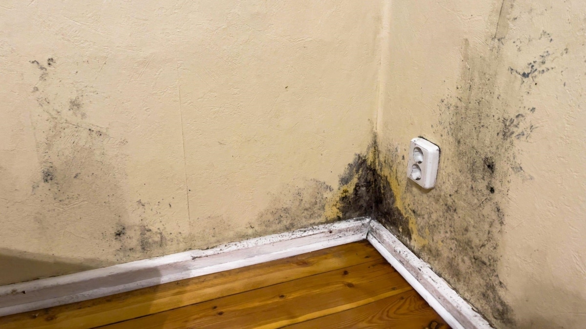 Boj s vlhkostí v domě zastaví jedlá soda s octem. Pro trvanlivý účinek se doporučuje vyvětrat