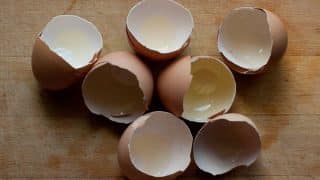 Vaječné skořápky v domácnosti najdou své uplatnění: Lze jimi nabrousit nůž i vydrhnout odolnou špínu