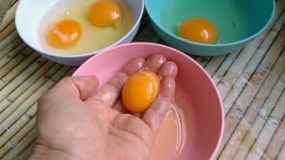 Barva žloutku toho o vejci hodně prozradí. Tmavě žlutá až oranžová svědčí o tom, že je o slepici dobře postaráno