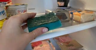 Do lednice dávám houbičku na nádobí. Díky tomu se nemusím bát zápachu nebo toho, že by jídlo načichlo