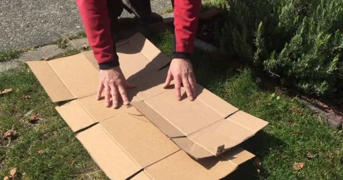 Karton najde uplatnění v zahradě, je skvělým materiálem na záhon