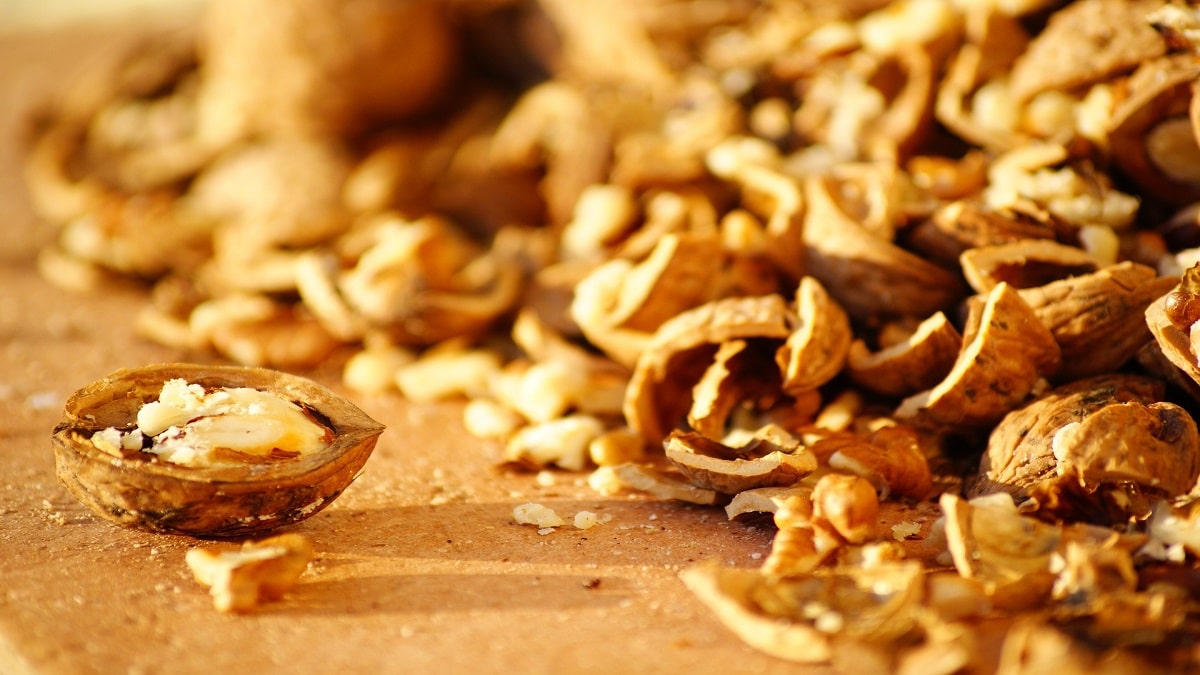 Vyhazovat skořápky od vlašských ořechů je velká chyba. Zužitkovat se dají na silné přírodní hnojivo