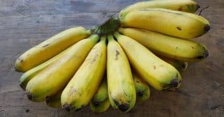 trs banany kus