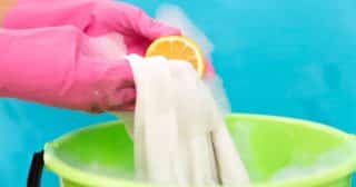 citron prani skvrna