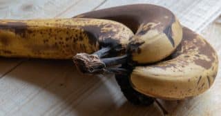 Banány nezhnědnou ani po 8 dnech díky kousku celofánu či provázku