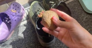Oloupaná brambora vyřeší nejčastější problémy, které s botami nastanou: Zápach i špatnou velikost