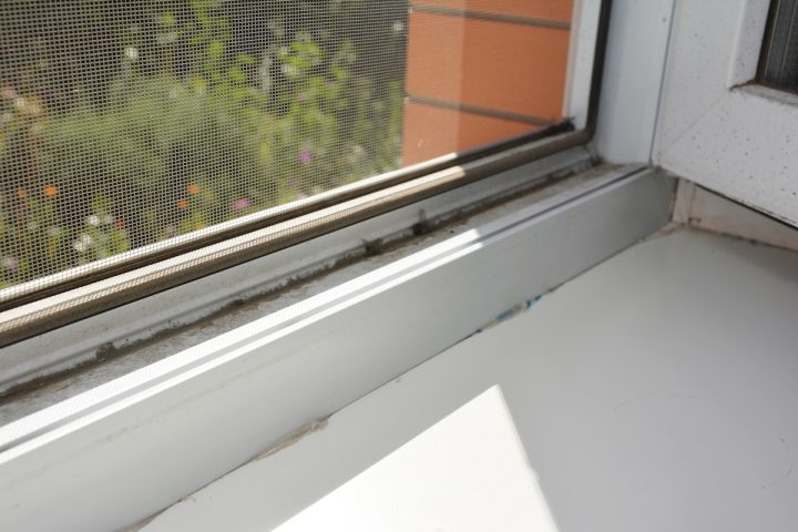 spinavy parapet