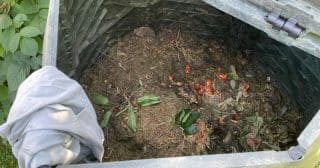 Co se nevyplatí dávat na kompost: Kosti či zbytky masa mohou budoucí hnojivo úplně zničit