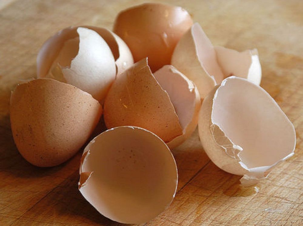Prázdné vaječné skořápky
