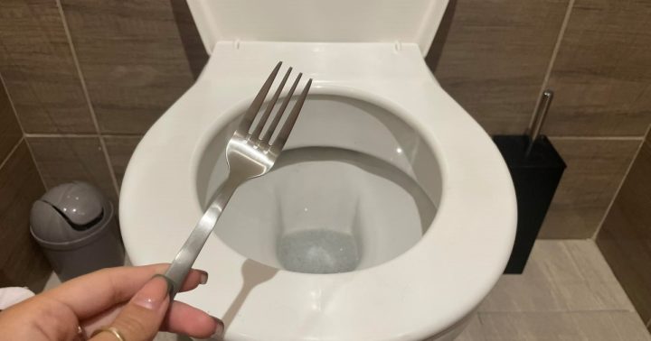 vidlicka zachod cisteni