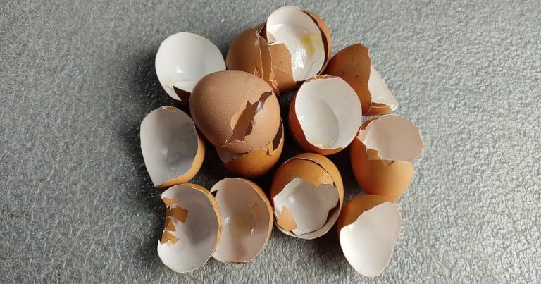 Vaječné skořápky skvěle fungují na bělení prádla. Stačí je vhodit do pračky