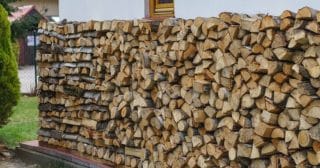Ceny palivového dřeva v září 2023: Za 1 rovnaný prostorový metr Češi zaplatí i 2 000 Kč