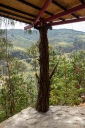 Útočiště mezi borovicemi – výhled