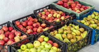 Jablka vydrží až do jara: Nejvhodnější je skladovat je v malých pytlích nebo krabicích