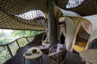 Stromový dům jako by vytvořila sama příroda: Architektům pod rukama vyrostlo dokonalé místo k odpočinku