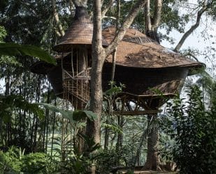 bambusový stromový dům