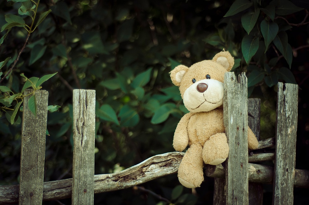 Medvěd na plotě