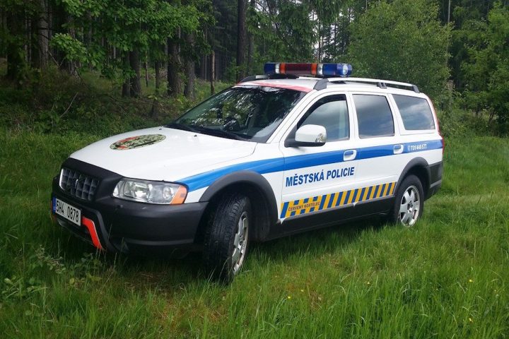 mestska policie