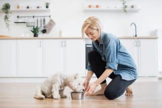 Zajistěte zdravou a vyváženou stravu pro vašeho psa za pomoci správného krmiva