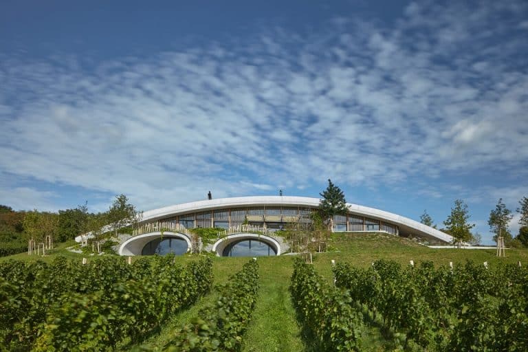 Vlnka v krajině: Vinařský dům ve volné krajině s velkým zaměřením na přírodu. Celkový dojem bude kompletní až v řádu let