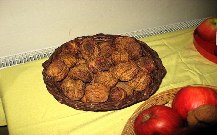 vlasske orechy 4