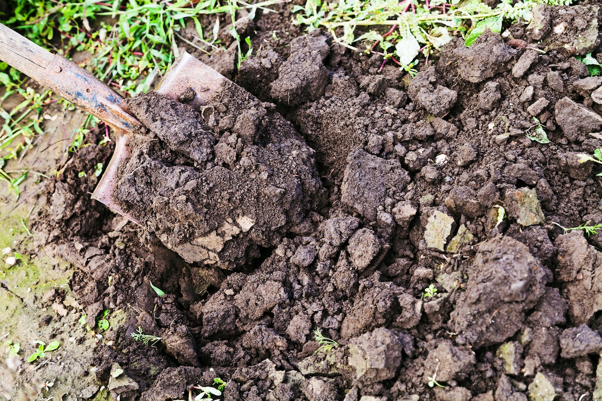 Dolomitovou moučku přidejte do zryté půdy. Přirozeně zvýšíte úrodnost své zahrady