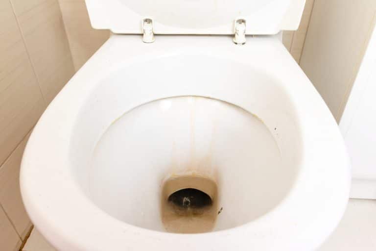 Hotelová uklízečka odtajnila trik, jak dokonale vyčistit záchod. Vy to ještě neděláte?