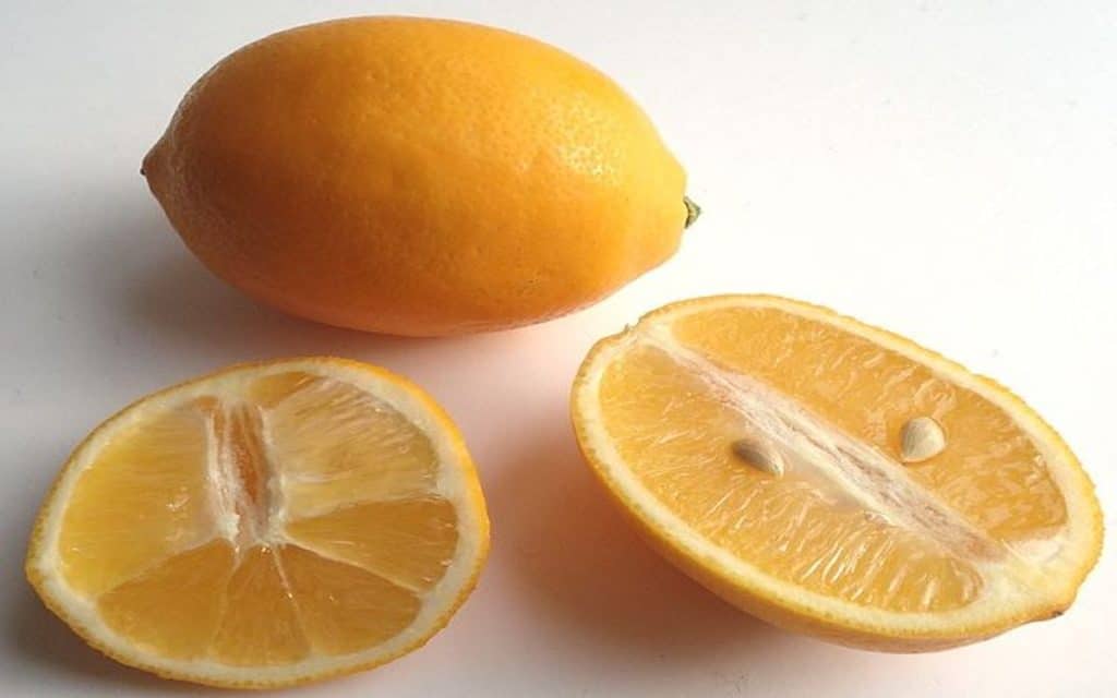 citronek