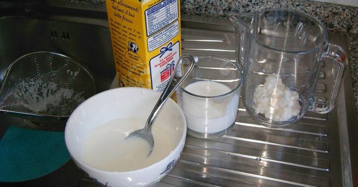 vyroba kefir zrna