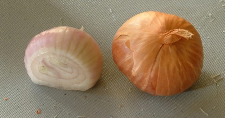 cibule slupka krajeni
