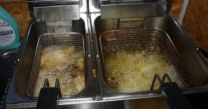friteza hranolky smazak