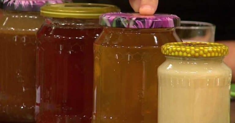 Jak na první pohled poznat zkažený med: Prozradí ho chuť i zkvašený zápach