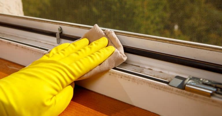 Jak bez poškození vyčistit okenní rámy: Pomůže citronová šťáva i jedlá soda