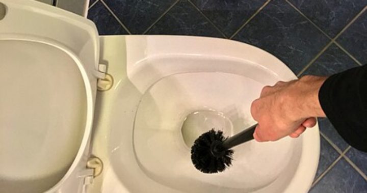 zachodova stetka wc