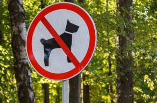 znacka zakaz psu