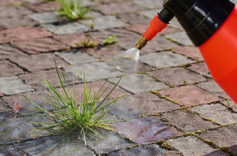 Přírodní postřik na plevel: Zlikviduje ho trocha octa, účinek se dá posílit solí