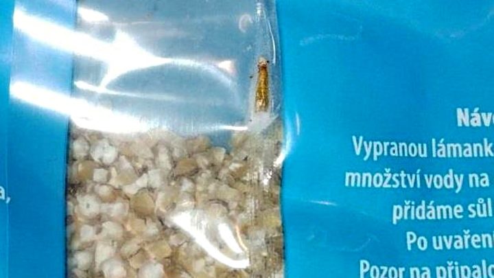 billa kroupy hmyz skudci inspekce