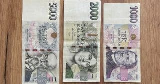 Velký přehled mincí a bankovek, na kterých můžete vydělat: Za některé dostanete stovky tisíc korun, sběratelé jsou ale ochotni zaplatit i miliony