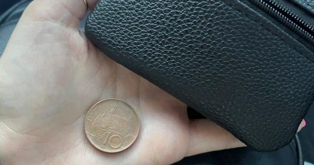 desetikoruna ruka penezenka